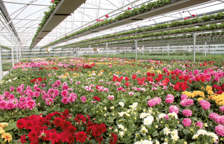 Sitemapcdatahttpsmodeinf Inetcomdecor Jardin Champenoux